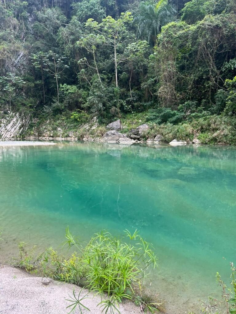 img 20251009 wa0013