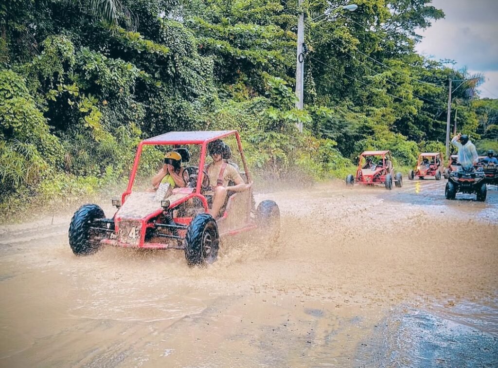 buggiesatv
